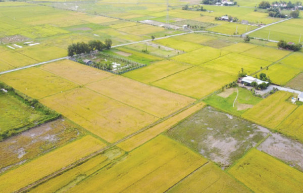 Quyết định thu hồi đất