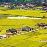 xây nhà trên đất nông nghiệp