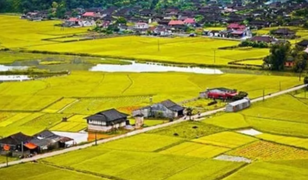 xây nhà trên đất nông nghiệp