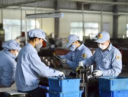 luật sư bảo vệ tại tòa