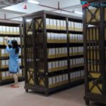 Lưu trữ hồ sơ công chứng di chúc: Ý nghĩa pháp lý 22